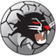 Woongarrah Wildcats FC - Team Woongarrah Wildcats Fc 357018 Football Live Score