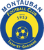 Montauban FC TG - Team Montauban Fc Tg 311180 Live Score Today