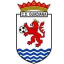 CD Guadiana - Talavera VS Cd Guadiana Live Score