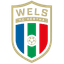 FC HOGO Hertha Wels - Team Fc Hogo Hertha Wels 300175 Live Football