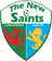 The New Saints - Premier League 37377 Live Score
