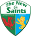 The New Saints - Wlc 32067 Live Score