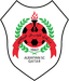 Wadi Al Rayyan - Team Wadi Al Rayyan 363725 Football Result