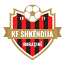 Shkendija Haracine - Team Shkendija Haracine 373397 Football Result