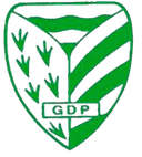 GD Pelariga U19 - U VS Gd Pelariga U Live