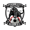 Ipswich City - Ipswich City Vs Brisbane Wolves