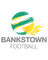 Bankstown United U20 - Aus Nsw U 33432 Scores