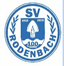 SV Rodenbach - Team Sv Rodenbach 340507 Result