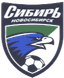 FC Novosibirsk Women - Team Fc Novosibirsk Women 358793 Football Live Score