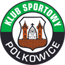 Gornik Polkowice - Team Gornik Polkowice 302752 Results