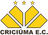 Criciuma - Brazilian Serie B 32195 Football Live