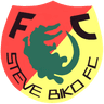 Steve Biko FC - Gambian Dutch Lions Vs Steve Biko Fc Prediction