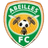 Abeilles - Ben Ligue 33305 Football