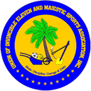 Invicible Eleven - Fassell VS Invicible Eleven Live Score Today