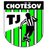TJ Chotesov - Team Tj Chotesov 386631 Football Live Score