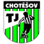 TJ Chotesov - Team Tj Chotesov 386631 Football Live Score
