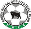 Green Buffaloes - Team Green Buffaloes 325544 Live Score Today