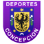 Deportes Concepcion U20 - Team Deportes Concepcion U 318177 Scores