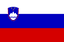 Slovenia U16 - Team Slovenia U 309782 Result