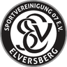 SV Elversberg U19 - Team Sv Sandhausen U 331401 Result
