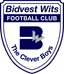 Bidvest Wits - Team Bidvest Wits 309684 Football Live Score