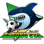 Ranong United FC - Team Ranong United Fc 319947 Live Score Today
