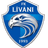 FK Livani - Team Fk Livani 340425 Live Score
