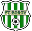 Druzstevnik Borov - Team Druzstevnik Borov 336057 Live Score