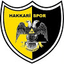 Hakkari Spor - Team Hakkari Spor 327349 Football Live