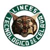 Celaya Linces - Rio VS Celaya Linces Result