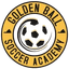 Golden Ball Soccer Academy - Team Golden Ball Soccer Academy 367726 Football Score