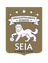 Seia FCU17 - Team Padroense U 312021 Result