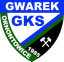 Gwarek Ornontowice II - Team Gwarek Ornontowice Ii 373482 Football Live Score