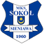 Sokol Sieniawa - Team Sokol Sieniawa 330792 Live Football