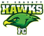 Mount Gravatt Hawks - Team Mount Gravatt Hawks 302748 Football Live