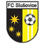 FC Slusovice - Team Fc Slusovice 345658 Results