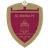 Al Wahda(UAE) - Team Al Wahdauae 309721 Live Score Today
