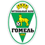 FK Gomel Reserves - Team Fk Gomel Reserves 332419 Live Score