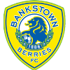 Canterbury Bankstown FC - Lions VS Canterbury Bankstown Fc Live Score