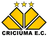 Criciuma EC SC - Team Atletico Tubarao Sc 301280 Football