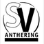 SV Anthering - Team Sv Anthering 327983 Football Live Score