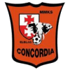 Concordia Elblag - Elblag VS Rominta Goldap Score