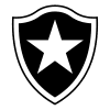 Botafogo RJ Youth - Player Aizaque 1446871 302387 Result