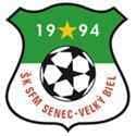 SFM Senec - Senkvice VS Sfm Senec Live Score Today