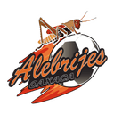 Alebrijes de Oaxaca - Oaxaca VS Irapuato Live