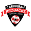 Caringbah Redbacks - Team Caringbah Redbacks 375510 Live Score