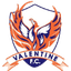Valentine Phoenix U20 - Team Valentine Phoenix U 329824 Live Football
