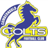 Cumbernauld Colts - Cowdenbeath VS Cumbernauld Colts Live Score Today