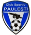 CS Paulesti - Team Cs Paulesti 327598 Football Live
