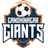 Gandhinagar Giants - Team Gandhinagar Giants 385960 Scores